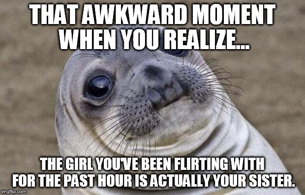 Awkward Moment Sealion | THAT AWKWARD MOMENT WHEN YOU REALIZE... THE GIRL YOU'VE BEEN FLIRTING WITH FOR THE PAST HOUR IS ACTUALLY YOUR SISTER. | image tagged in memes,awkward moment sealion | made w/ Imgflip meme maker