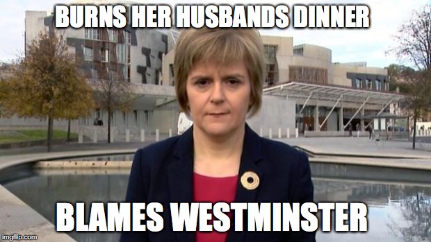 Failing SNP Leader | BURNS HER HUSBANDS DINNER BLAMES WESTMINSTER | image tagged in failing snp leader | made w/ Imgflip meme maker