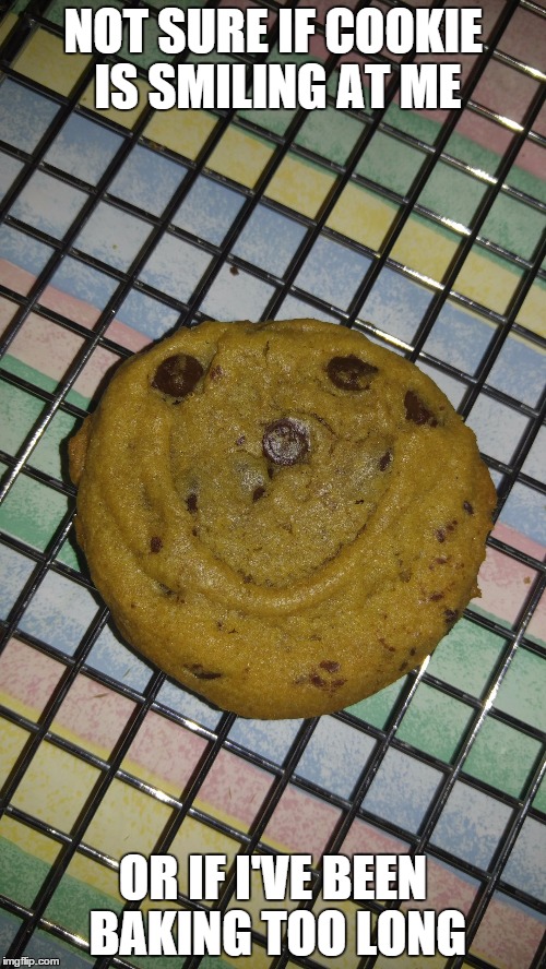 Happy Cookie | NOT SURE IF COOKIE IS SMILING AT ME OR IF I'VE BEEN BAKING TOO LONG | image tagged in happy cookie | made w/ Imgflip meme maker