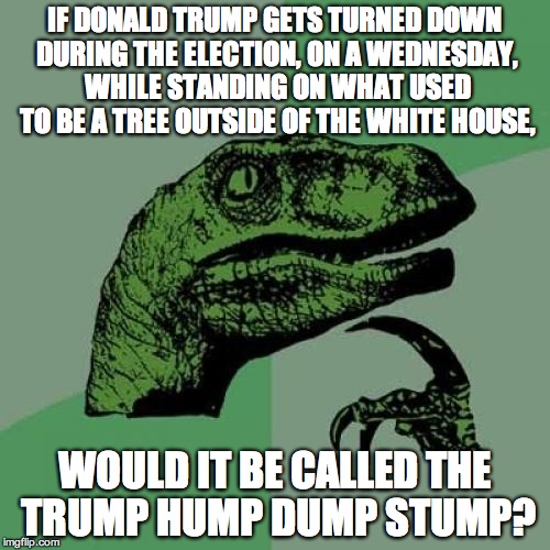 Philosoraptor | IF DONALD TRUMP GETS TURNED DOWN DURING THE ELECTION, ON A WEDNESDAY, WHILE STANDING ON WHAT USED TO BE A TREE OUTSIDE OF THE WHITE HOUSE, W | image tagged in memes,philosoraptor | made w/ Imgflip meme maker