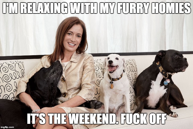 I'M RELAXING WITH MY FURRY HOMIES IT'S THE WEEKEND. F**K OFF | made w/ Imgflip meme maker