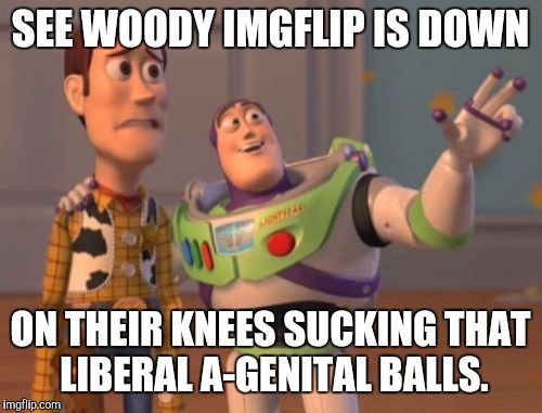 X, X Everywhere Meme | SEE WOODY IMGFLIP IS DOWN ON THEIR KNEES SUCKING THAT LIBERAL A-GENITAL BALLS. | image tagged in memes,x x everywhere | made w/ Imgflip meme maker