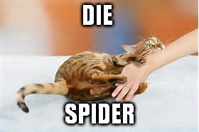 DIE SPIDER | made w/ Imgflip meme maker