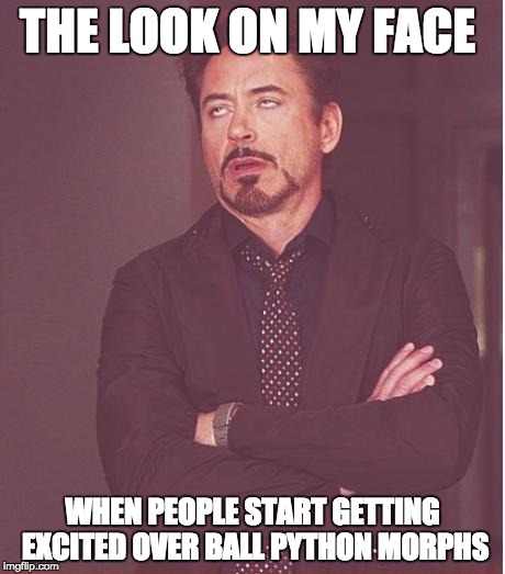 after seeing a huge crowd of people at  the reptile expo looking at ball python morphs, i find them boring | THE LOOK ON MY FACE WHEN PEOPLE START GETTING EXCITED OVER BALL PYTHON MORPHS | image tagged in memes,face you make robert downey jr | made w/ Imgflip meme maker