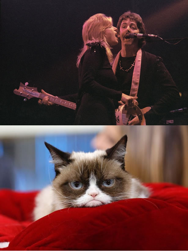 High Quality Paul McCartney vs. Grumpy Cat Blank Meme Template