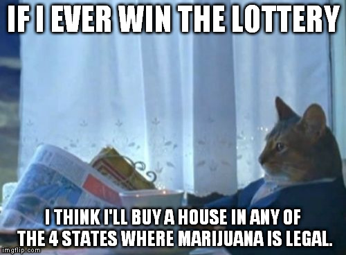 I Should Buy A Boat Cat | IF I EVER WIN THE LOTTERY I THINK I'LL BUY A HOUSE IN ANY OF THE 4 STATES WHERE MARIJUANA IS LEGAL. | image tagged in memes,i should buy a boat cat | made w/ Imgflip meme maker