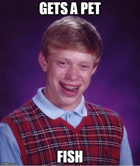 Bad Luck Brian Meme | GETS A PET FISH | image tagged in memes,bad luck brian | made w/ Imgflip meme maker
