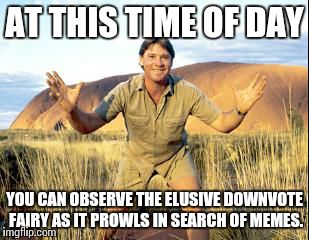 There is one time when they're all over imgflip | AT THIS TIME OF DAY YOU CAN OBSERVE THE ELUSIVE DOWNVOTE FAIRY AS IT PROWLS IN SEARCH OF MEMES. | image tagged in steve irwin,downvote fairy,memes | made w/ Imgflip meme maker