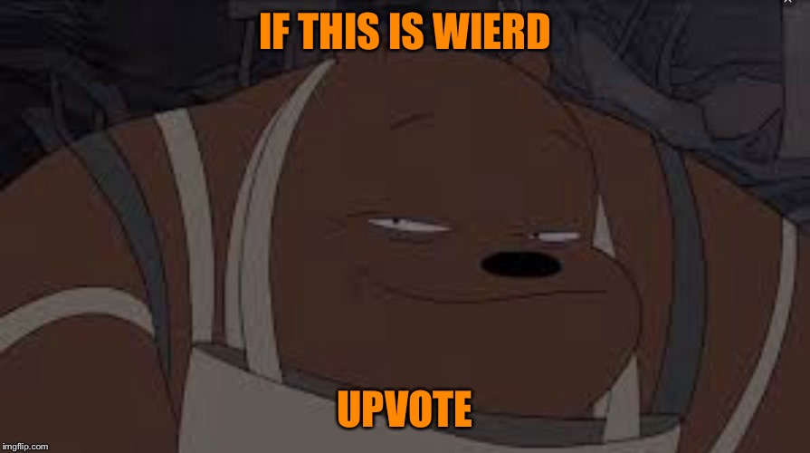 IF THIS IS WIERD UPVOTE | image tagged in crazy bear | made w/ Imgflip meme maker