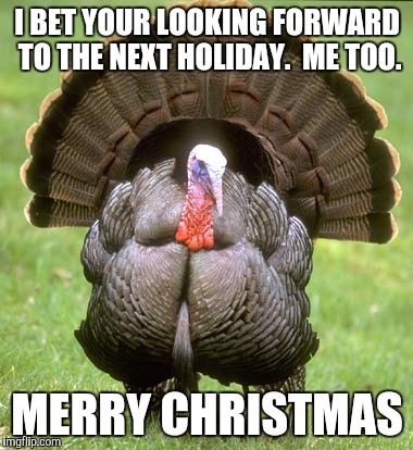 Turkey | I BET YOUR LOOKING FORWARD TO THE NEXT HOLIDAY.  ME TOO. MERRY CHRISTMAS | image tagged in memes,turkey | made w/ Imgflip meme maker