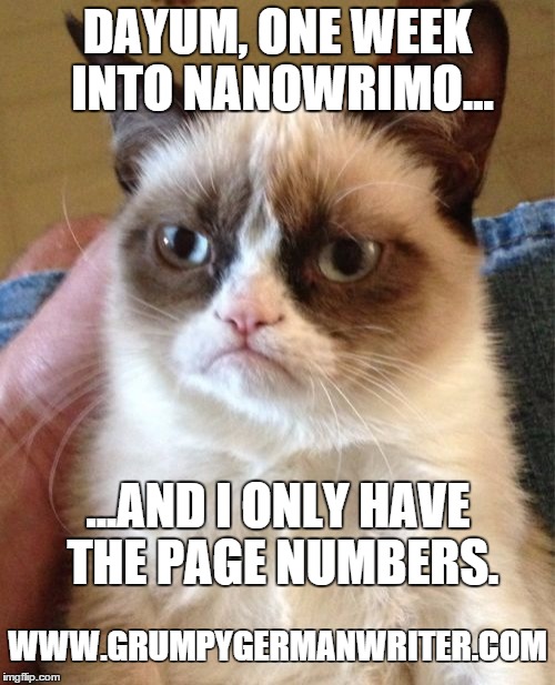 Grumpy Cat Meme | DAYUM, ONE WEEK INTO NANOWRIMO... ...AND I ONLY HAVE THE PAGE NUMBERS. WWW.GRUMPYGERMANWRITER.COM | image tagged in memes,grumpy cat | made w/ Imgflip meme maker