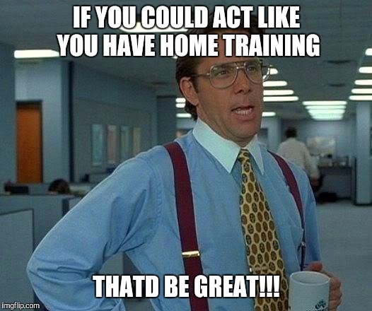 That Would Be Great | IF YOU COULD ACT LIKE YOU HAVE HOME TRAINING THATD BE GREAT!!! | image tagged in memes,that would be great | made w/ Imgflip meme maker