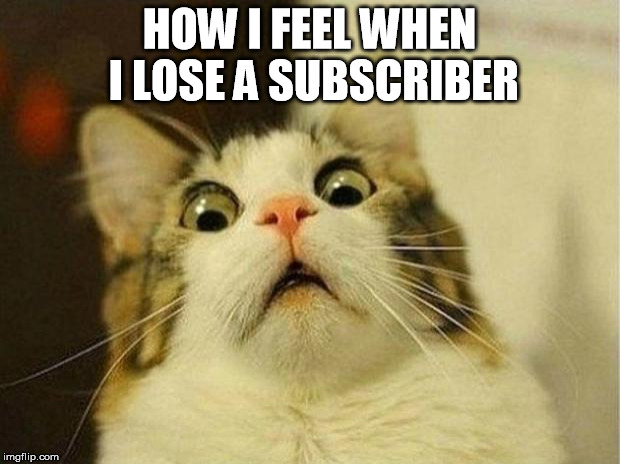 Scared Cat Meme | HOW I FEEL WHEN I LOSE A SUBSCRIBER | image tagged in memes,scared cat | made w/ Imgflip meme maker