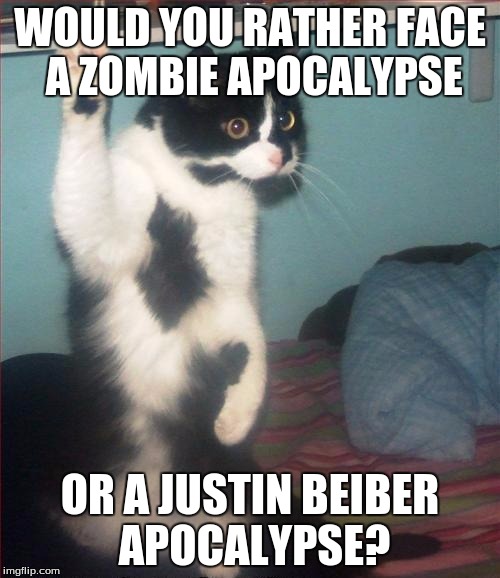 question cat | WOULD YOU RATHER FACE A ZOMBIE APOCALYPSE OR A JUSTIN BEIBER APOCALYPSE? | image tagged in question cat | made w/ Imgflip meme maker