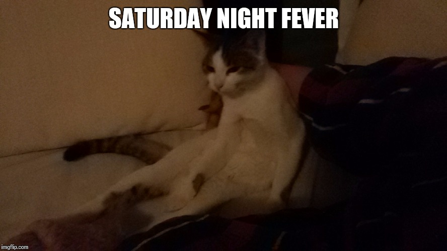 SATURDAY NIGHT FEVER | image tagged in 1234 | made w/ Imgflip meme maker