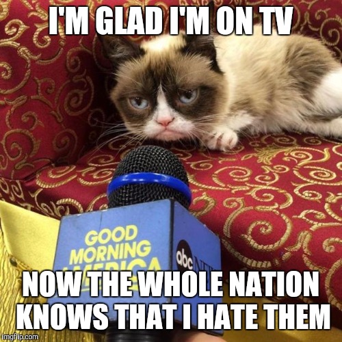 grumpy cat news | I'M GLAD I'M ON TV NOW THE WHOLE NATION KNOWS THAT I HATE THEM | image tagged in grumpy cat news | made w/ Imgflip meme maker