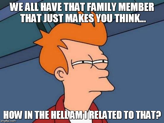 Futurama Fry Meme | WE ALL HAVE THAT FAMILY MEMBER THAT JUST MAKES YOU THINK... HOW IN THE HELL AM I RELATED TO THAT? | image tagged in memes,futurama fry | made w/ Imgflip meme maker