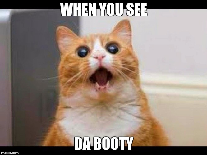 WHEN YOU SEE DA BOOTY | image tagged in cats | made w/ Imgflip meme maker