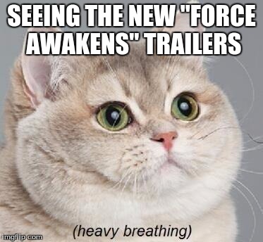 Heavy Breathing Cat Meme | SEEING THE NEW "FORCE AWAKENS" TRAILERS | image tagged in memes,heavy breathing cat | made w/ Imgflip meme maker