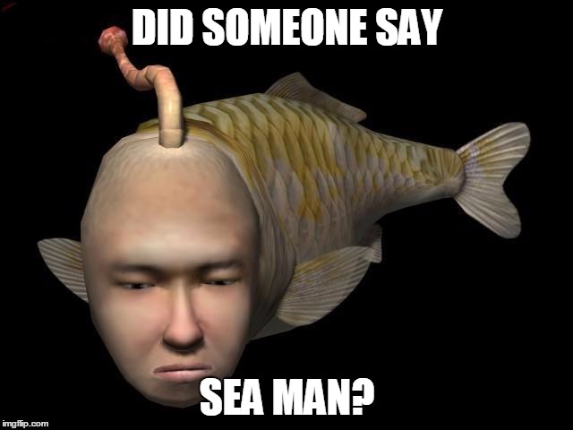 DID SOMEONE SAY SEA MAN? | made w/ Imgflip meme maker