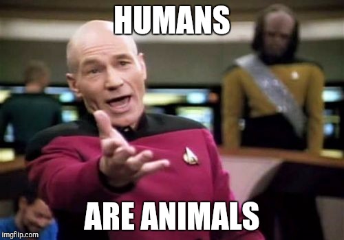 Picard Wtf Meme | HUMANS ARE ANIMALS | image tagged in memes,picard wtf | made w/ Imgflip meme maker