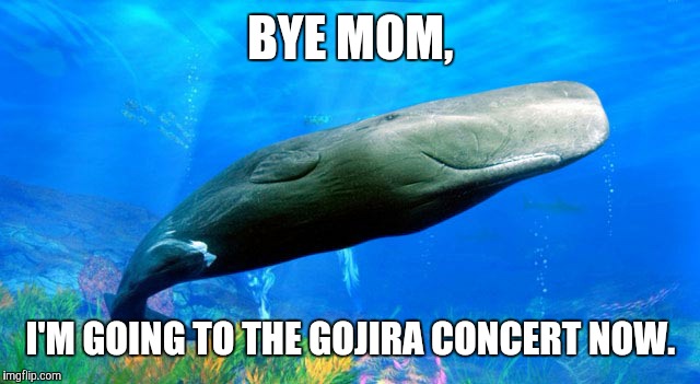 Having a whale of a time \m/ | BYE MOM, I'M GOING TO THE GOJIRA CONCERT NOW. | image tagged in metal,gojira,stale memes | made w/ Imgflip meme maker
