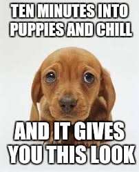 Puppies and Chill | TEN MINUTES INTO PUPPIES AND CHILL AND IT GIVES YOU THIS LOOK | image tagged in puppies,and,chill | made w/ Imgflip meme maker