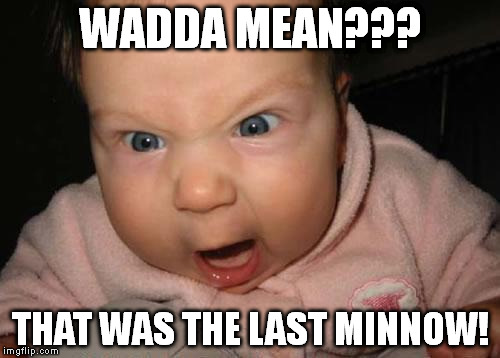 Evil Baby Meme | WADDA MEAN??? THAT WAS THE LAST MINNOW! | image tagged in memes,evil baby | made w/ Imgflip meme maker