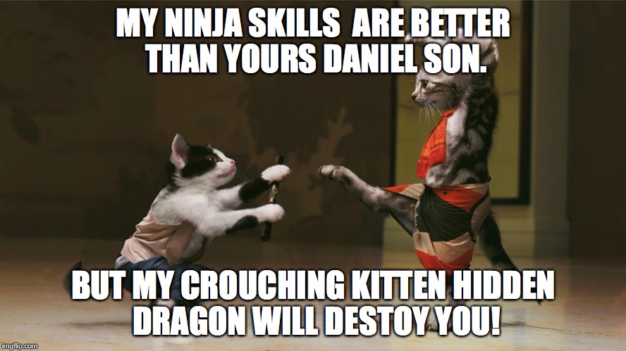 MY NINJA SKILLS  ARE BETTER THAN YOURS DANIEL SON. BUT MY CROUCHING KITTEN HIDDEN DRAGON WILL DESTOY YOU! | image tagged in bad as kitty's | made w/ Imgflip meme maker