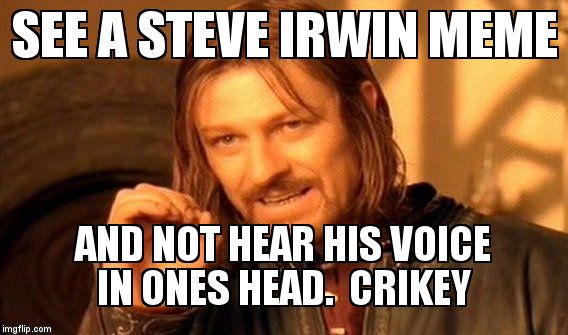 One Does Not Simply Meme | SEE A STEVE IRWIN MEME AND NOT HEAR HIS VOICE IN ONES HEAD.  CRIKEY | image tagged in memes,one does not simply | made w/ Imgflip meme maker
