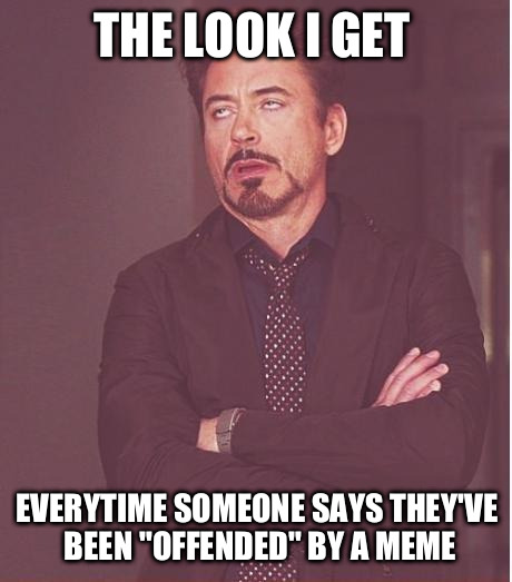 Face You Make Robert Downey Jr | THE LOOK I GET EVERYTIME SOMEONE SAYS THEY'VE BEEN "OFFENDED" BY A MEME | image tagged in memes,face you make robert downey jr | made w/ Imgflip meme maker
