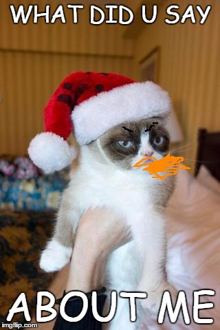 Grumpy Cat Christmas | WHAT DID U SAY ABOUT ME | image tagged in memes,grumpy cat christmas,grumpy cat | made w/ Imgflip meme maker