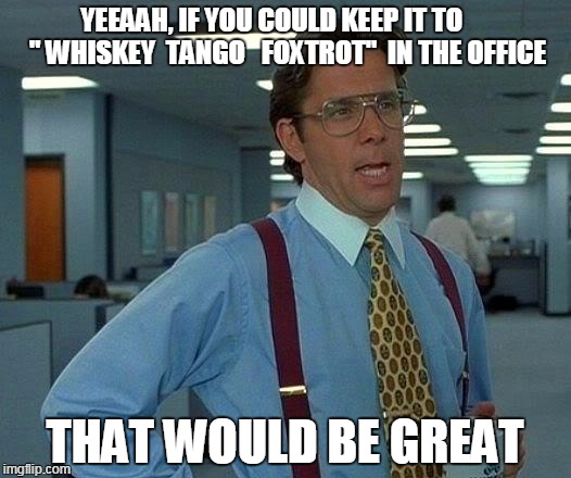 That Would Be Great Meme | YEEAAH, IF YOU COULD KEEP IT TO   

  " WHISKEY  TANGO   FOXTROT"  IN THE OFFICE THAT WOULD BE GREAT | image tagged in memes,that would be great | made w/ Imgflip meme maker