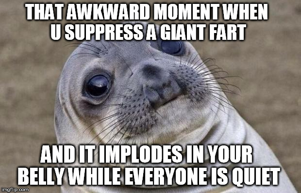 Awkward Moment Sealion Meme | THAT AWKWARD MOMENT WHEN U SUPPRESS A GIANT FART AND IT IMPLODES IN YOUR BELLY WHILE EVERYONE IS QUIET | image tagged in memes,awkward moment sealion | made w/ Imgflip meme maker