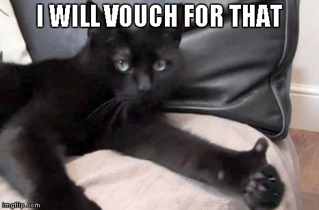 Cut Thumbs Up | I WILL VOUCH FOR THAT | image tagged in cut thumbs up | made w/ Imgflip meme maker