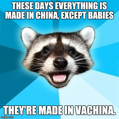 Lame Pun Coon Meme | THESE DAYS EVERYTHING IS MADE IN CHINA, EXCEPT BABIES THEY'RE MADE IN VACHINA. | image tagged in memes,lame pun coon | made w/ Imgflip meme maker