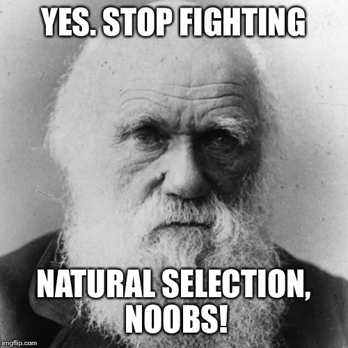 YES. STOP FIGHTING NATURAL SELECTION, NOOBS! | made w/ Imgflip meme maker