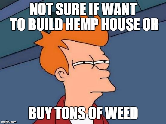 Futurama Fry | NOT SURE IF WANT TO BUILD HEMP HOUSE OR BUY TONS OF WEED | image tagged in memes,futurama fry | made w/ Imgflip meme maker