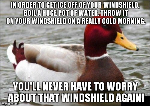 Or so I've heard? | IN ORDER TO GET ICE OFF OF YOUR WINDSHIELD, BOIL A HUGE POT OF WATER. THROW IT ON YOUR WINDSHIELD ON A REALLY COLD MORNING. YOU'LL NEVER HAV | image tagged in memes,malicious advice mallard | made w/ Imgflip meme maker