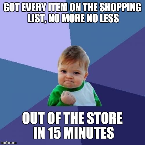 Success Kid Meme | GOT EVERY ITEM ON THE SHOPPING LIST, NO MORE NO LESS OUT OF THE STORE IN 15 MINUTES | image tagged in memes,success kid | made w/ Imgflip meme maker