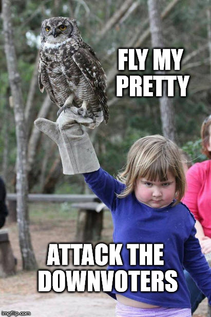revenge owl | FLY MY PRETTY ATTACK THE DOWNVOTERS | image tagged in owl girl | made w/ Imgflip meme maker