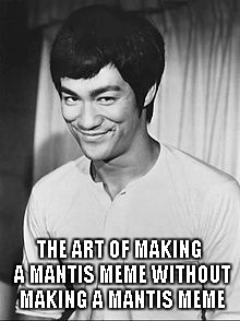 Bruce Lee | THE ART OF MAKING A MANTIS MEME WITHOUT MAKING A MANTIS MEME | image tagged in bruce lee | made w/ Imgflip meme maker