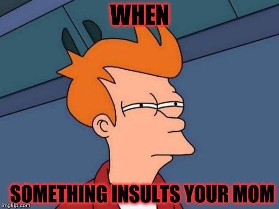 Futurama Fry Meme | WHEN SOMETHING INSULTS YOUR MOM | image tagged in memes,futurama fry | made w/ Imgflip meme maker