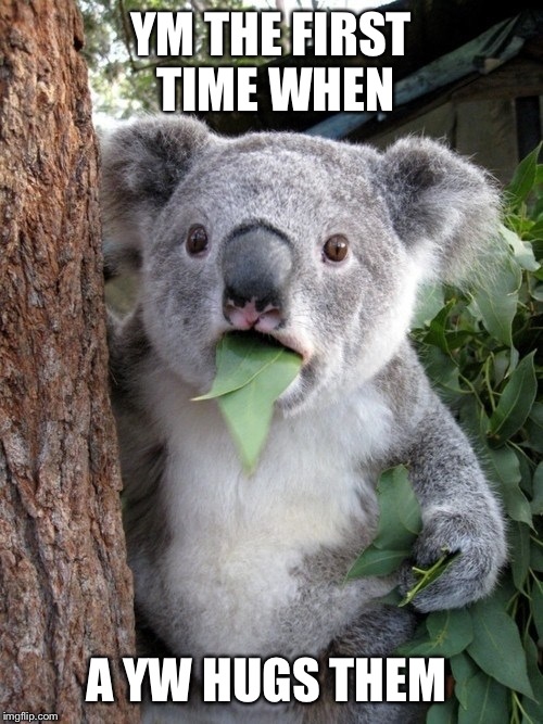 Surprised Koala | YM THE FIRST TIME WHEN A YW HUGS THEM | image tagged in memes,surprised coala | made w/ Imgflip meme maker