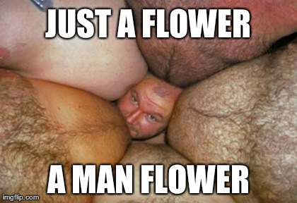 image tagged in funny | made w/ Imgflip meme maker