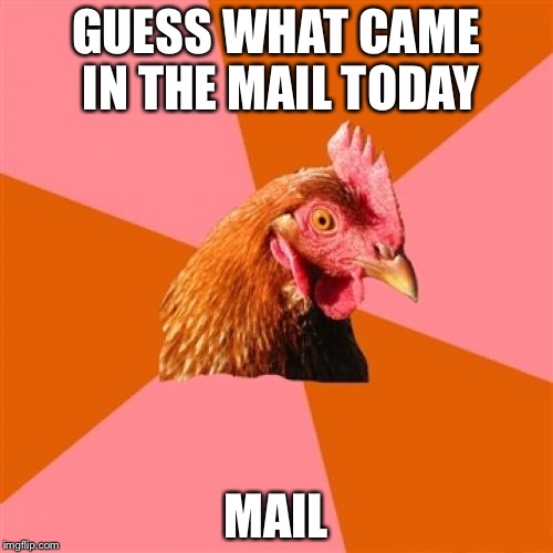 Anti Joke Chicken | GUESS WHAT CAME IN THE MAIL TODAY MAIL | image tagged in memes,anti joke chicken | made w/ Imgflip meme maker