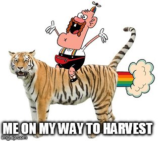 ME ON MY WAY TO HARVEST | made w/ Imgflip meme maker