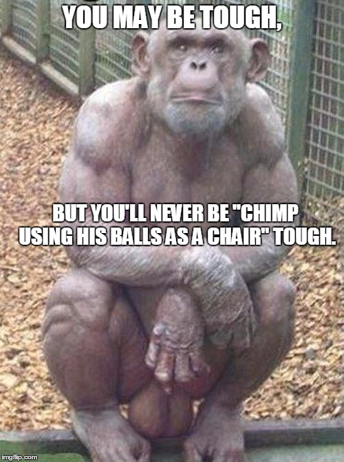 Look at his balls | YOU MAY BE TOUGH, BUT YOU'LL NEVER BE "CHIMP USING HIS BALLS AS A CHAIR" TOUGH. | image tagged in look at his balls | made w/ Imgflip meme maker