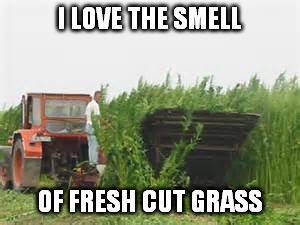 I LOVE THE SMELL OF FRESH CUT GRASS | made w/ Imgflip meme maker