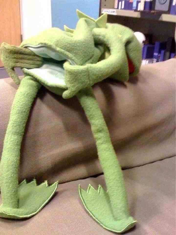 High Quality Naughty Kermit Blank Meme Template